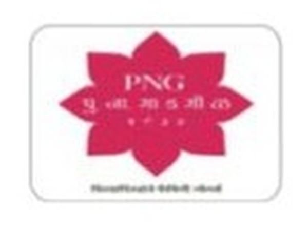 P N Gadgil logo